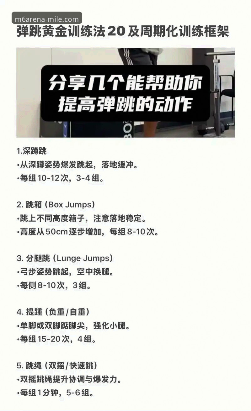 米乐m6新手教程 如何快速上手米乐M6体育平台?一份超详细的新手教程
